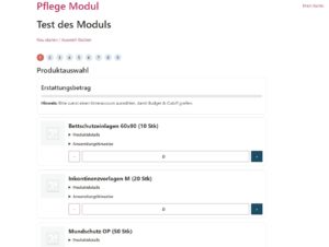 Alltagsbetreuung REV / Pflege Modul